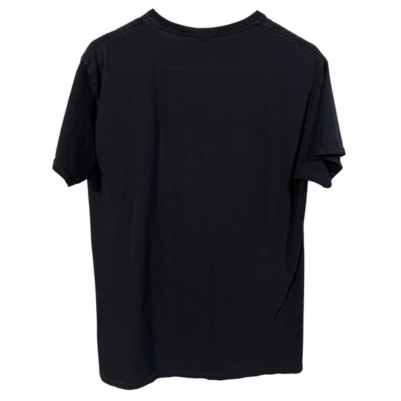 Aaliyah "The Princess Of R&B" Black T-Shirt Medium By Ripple Junction 100% Cotto - Picture 2 of 3